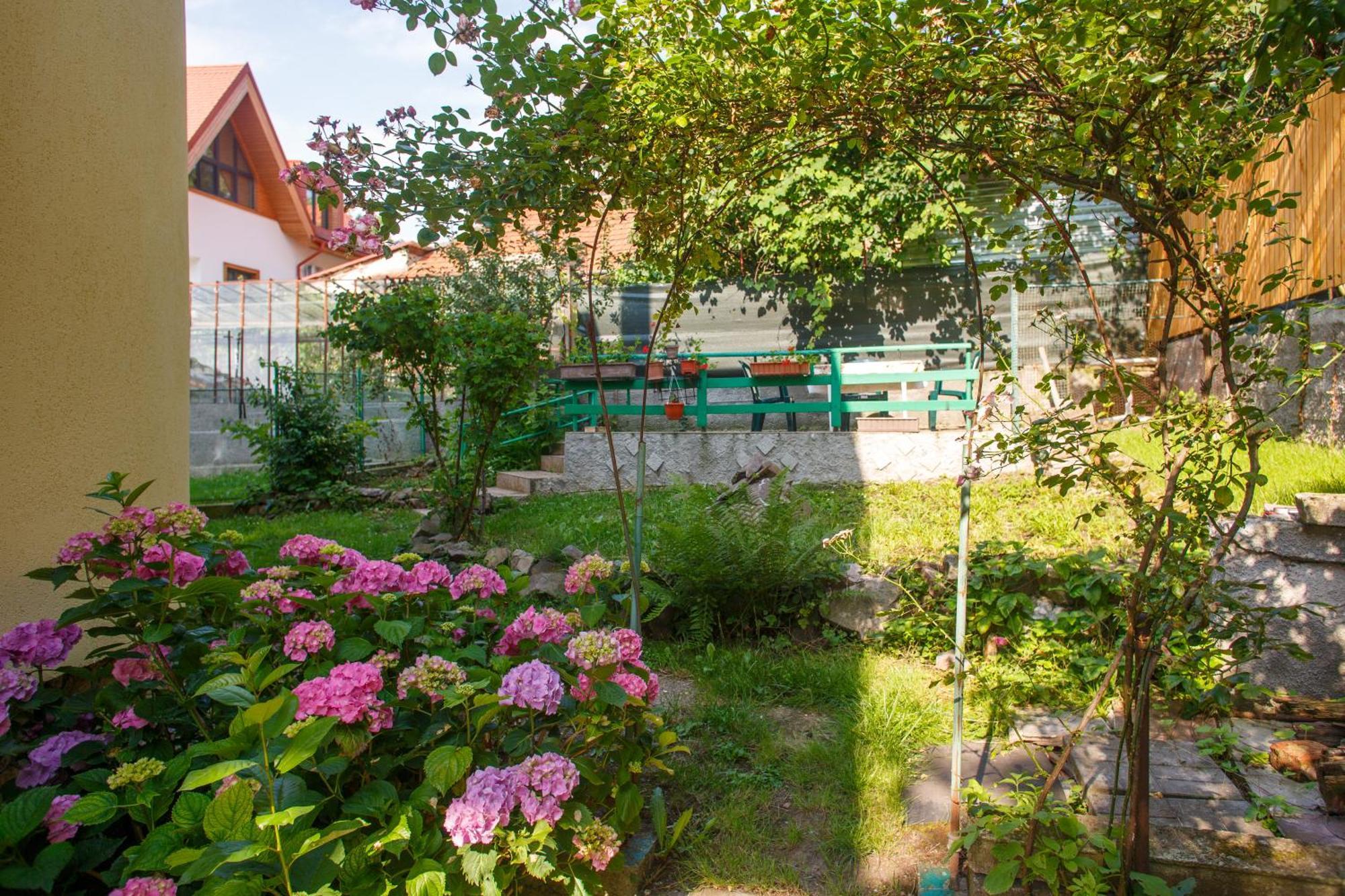 Barok Apartments Braşov Exterior foto